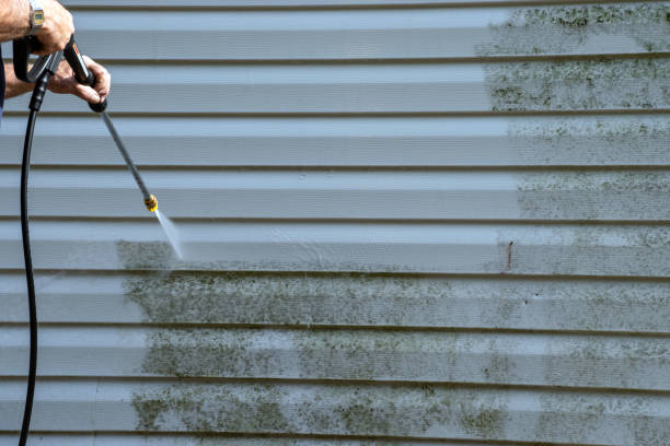 Shed Removal in East Bethel, MN